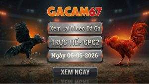 Xem Lại Video Đá Gà CPC2 Ngày 06/05/2026