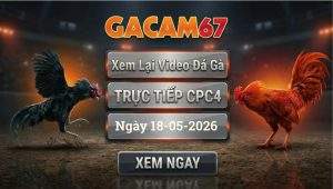 Xem Lại Video Đá Gà CPC4 Ngày 18/05/2026